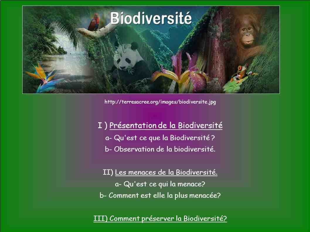 Quels sont les moyens de conserver la biodiversité?