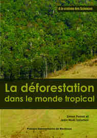 Qui sont les acteurs de la déforestation?